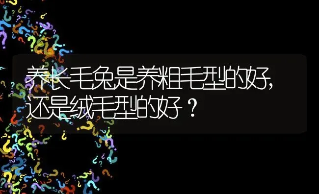 养长毛兔是养粗毛型的好,还是绒毛型的好? | 养殖问题解答