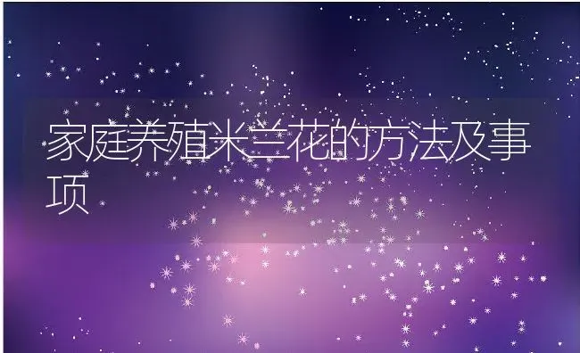 家庭养殖米兰花的方法及事项 | 养殖常见问题
