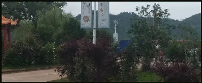 竹子加工成什么最挣钱 | 三农答疑