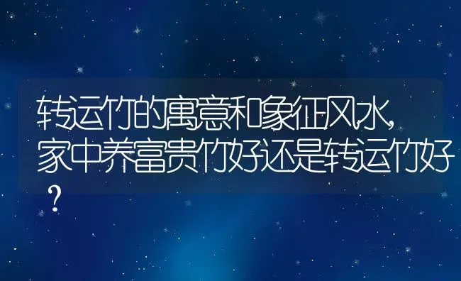 转运竹的寓意和象征风水,家中养富贵竹好还是转运竹好？ | 养殖常见问题