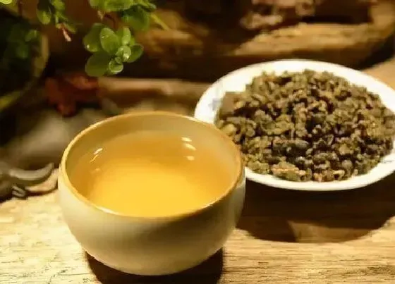 植物常识问题|冬天喝什么茶叶好 冬天喝什么茶养生对身体好