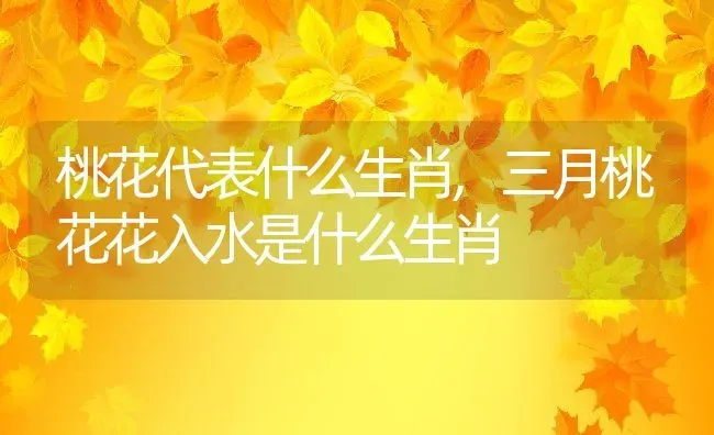 桃花代表什么生肖,三月桃花花入水是什么生肖 | 养殖常见问题