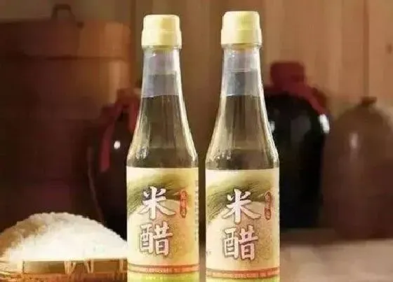 植物常识问题|米醋浇花的方法和好处