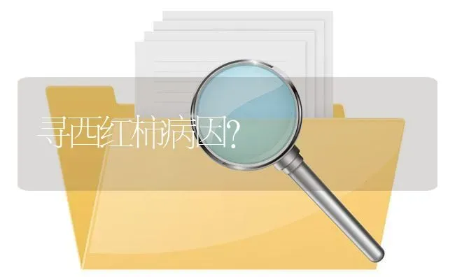 寻西红柿病因? | 养殖问题解答