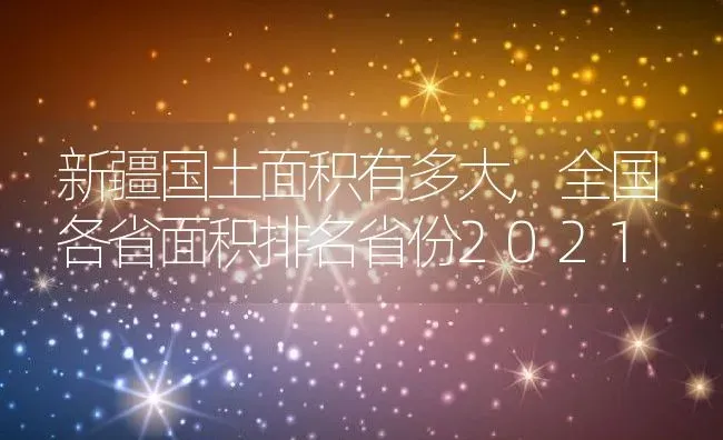 新疆国土面积有多大,全国各省面积排名省份2021 | 养殖常见问题