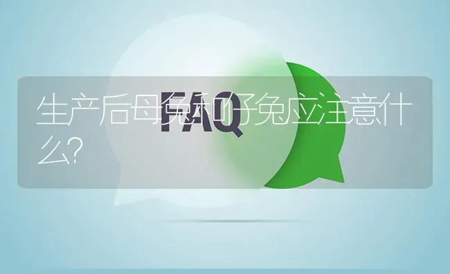 生产后母兔和仔兔应注意什么? | 养殖问题解答