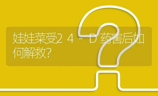 娃娃菜受24-D药害后如何解救? | 养殖问题解答