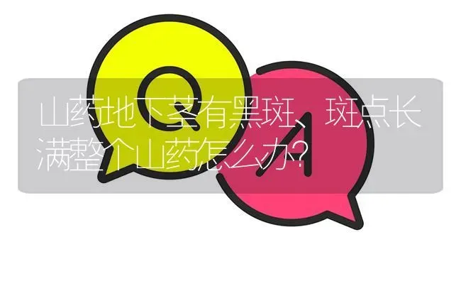 山药地下茎有黑斑、斑点长满整个山药怎么办? | 养殖问题解答