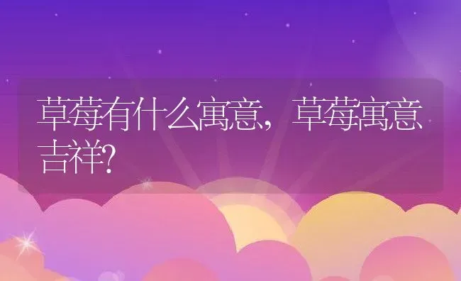 草莓有什么寓意,草莓寓意吉祥？ | 养殖常见问题