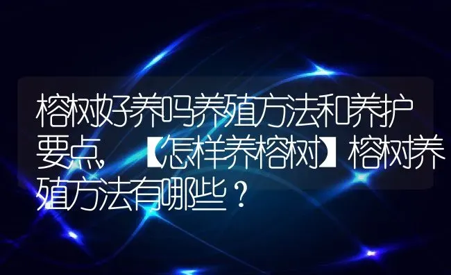 榕树好养吗养殖方法和养护要点,【怎样养榕树】榕树养殖方法有哪些？ | 养殖常见问题