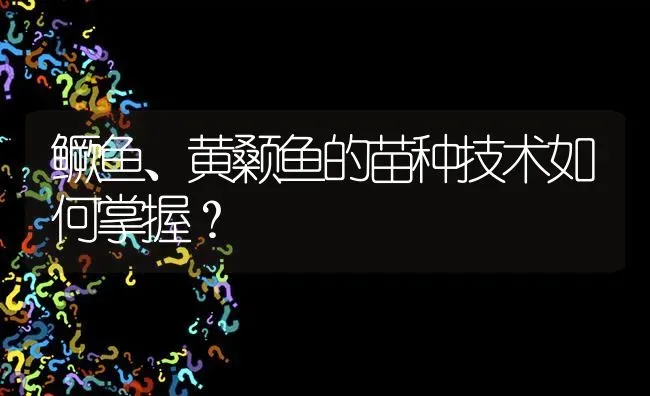 鳜鱼、黄颡鱼的苗种技术如何掌握? | 养殖问题解答