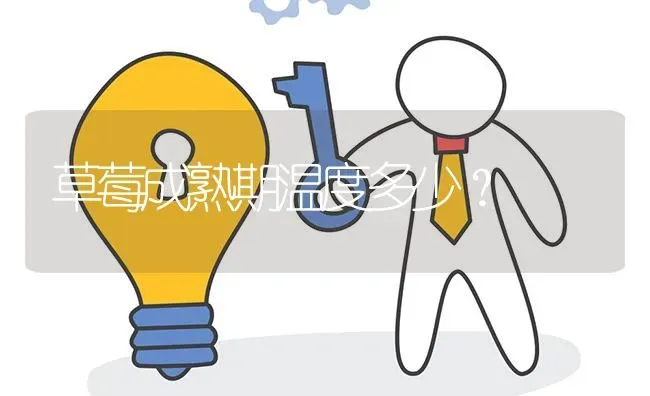 草莓成熟期温度多少? | 养殖问题解答