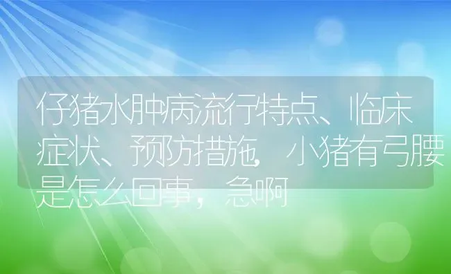 仔猪水肿病流行特点、临床症状、预防措施,小猪有弓腰是怎么回事，急啊 | 养殖常见问题