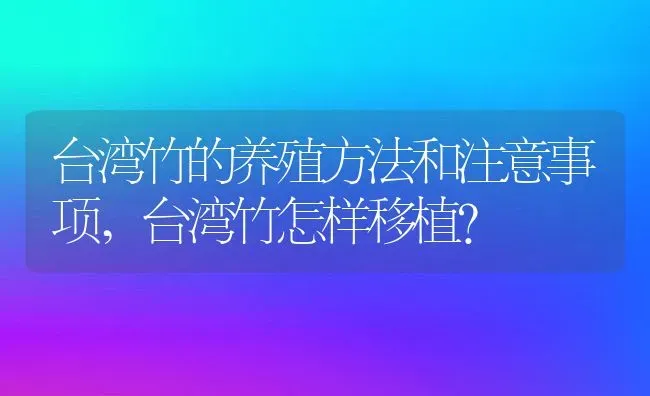 台湾竹的养殖方法和注意事项,台湾竹怎样移植？ | 养殖常见问题