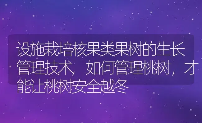 设施栽培核果类果树的生长管理技术,如何管理桃树，才能让桃树安全越冬 | 养殖常见问题