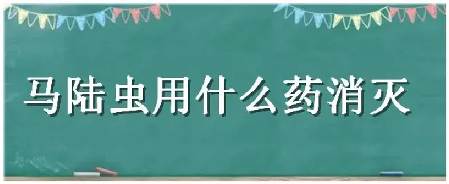 马陆虫用什么药消灭 | 农业常识