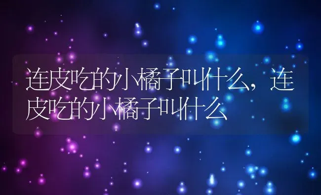 连皮吃的小橘子叫什么,连皮吃的小橘子叫什么 | 养殖常见问题