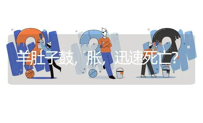 羊肚子鼓,胀,迅速死亡? | 养殖问题解答