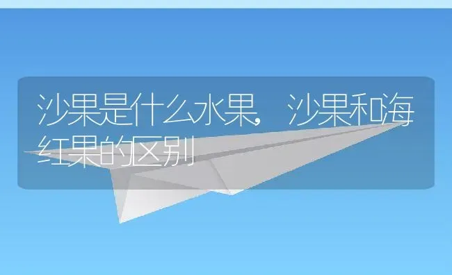 沙果是什么水果,沙果和海红果的区别 | 养殖常见问题