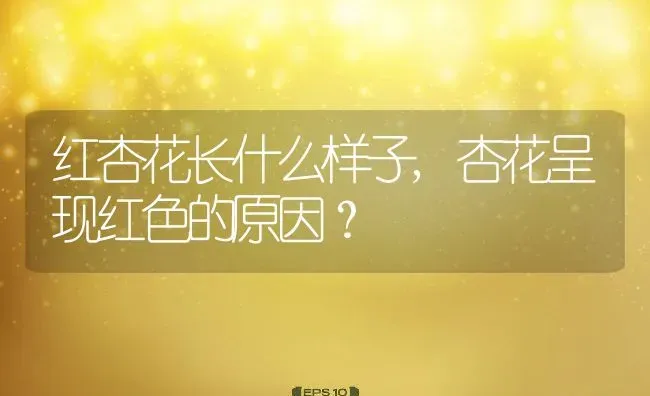 红杏花长什么样子,杏花呈现红色的原因？ | 养殖常见问题