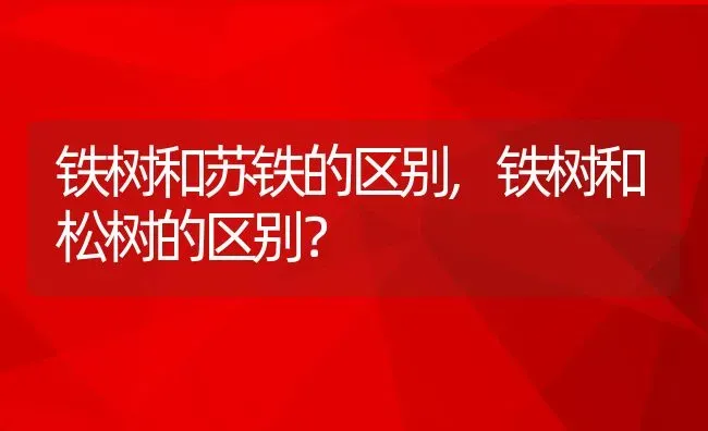 铁树和苏铁的区别,铁树和松树的区别？ | 养殖常见问题