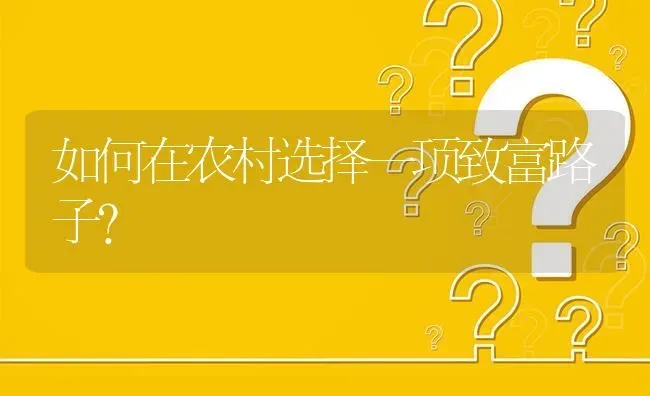 如何在农村选择一项致富路子? | 养殖问题解答