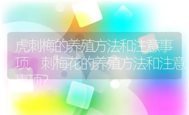 虎刺梅的养殖方法和注意事项,刺梅花的养殖方法和注意事项？ | 养殖常见问题