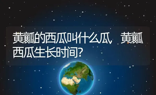 黄瓤的西瓜叫什么瓜,黄瓤西瓜生长时间？ | 养殖常见问题