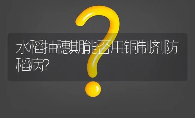 水稻抽穗期能否用铜制剂防稻病? | 养殖问题解答