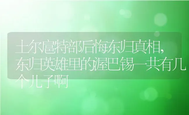 土尔扈特部后悔东归真相,东归英雄里的渥巴锡一共有几个儿子啊 | 养殖常见问题