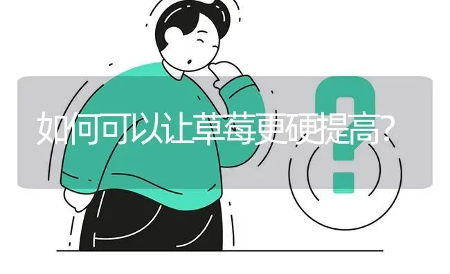 如何可以让草莓更硬提高? | 养殖问题解答