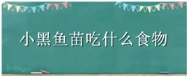 小黑鱼苗吃什么食物 | 生活常识