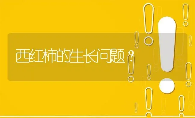 西红柿的生长问题? | 养殖问题解答