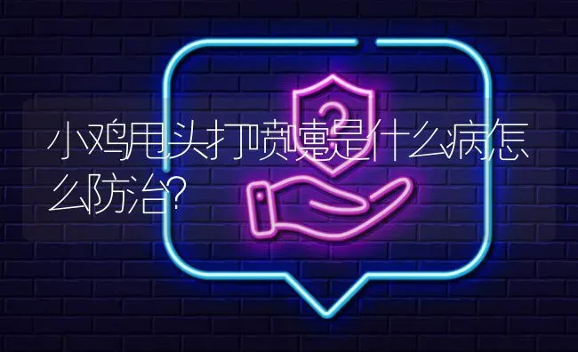 小鸡甩头打喷嚏是什么病怎么防治? | 养殖问题解答