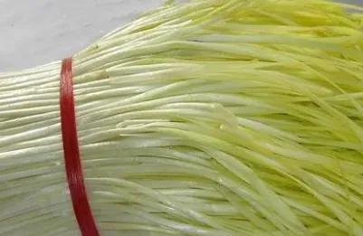 韭黄最简单种植方法,韭黄最简单种植方法？