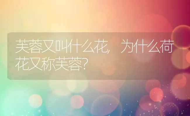 芙蓉又叫什么花,为什么荷花又称芙蓉？ | 养殖常见问题