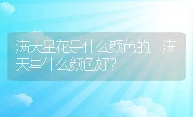 满天星花是什么颜色的,满天星什么颜色好？ | 养殖常见问题