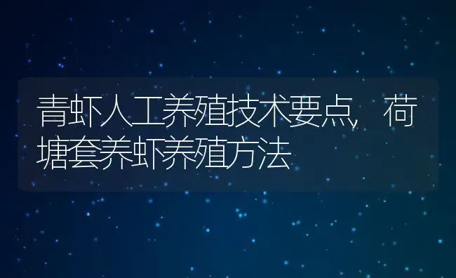 青虾人工养殖技术要点,荷塘套养虾养殖方法 | 养殖常见问题