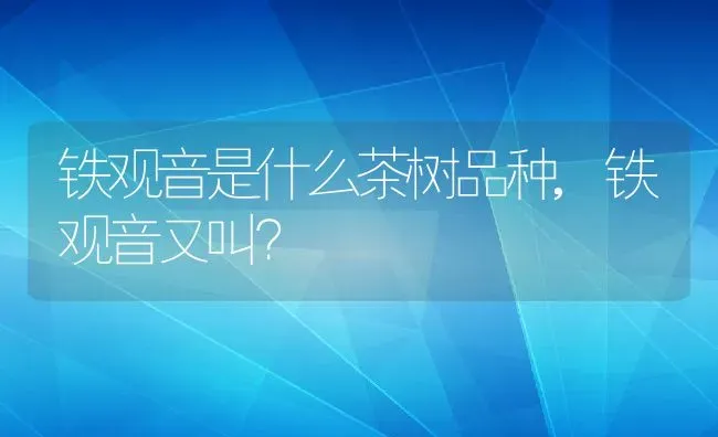 铁观音是什么茶树品种,铁观音又叫？ | 养殖常见问题