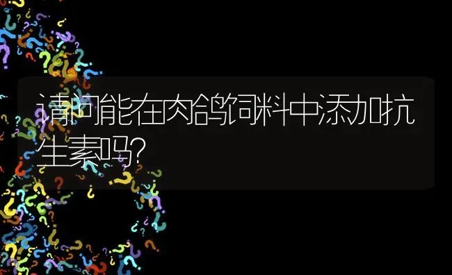 请问能在肉鸽饲料中添加抗生素吗? | 养殖问题解答