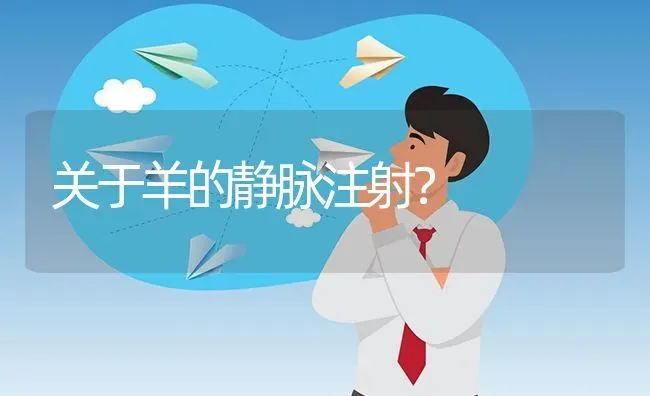 关于羊的静脉注射? | 养殖问题解答