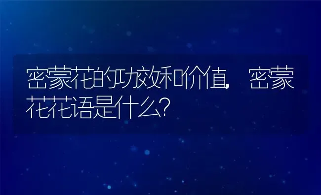 密蒙花的功效和价值,密蒙花花语是什么？ | 养殖常见问题