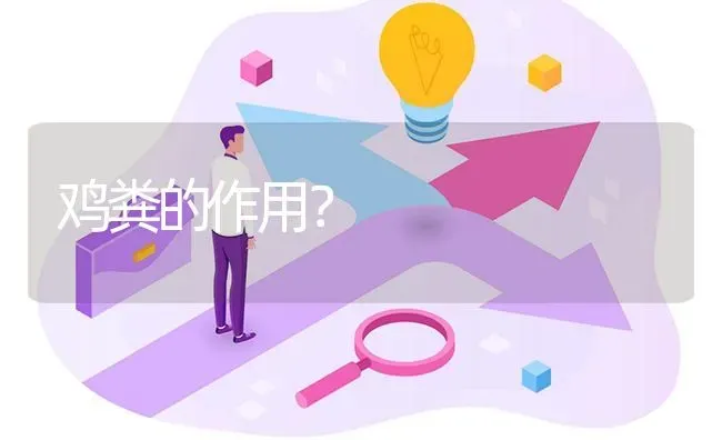 鸡粪的作用? | 养殖问题解答