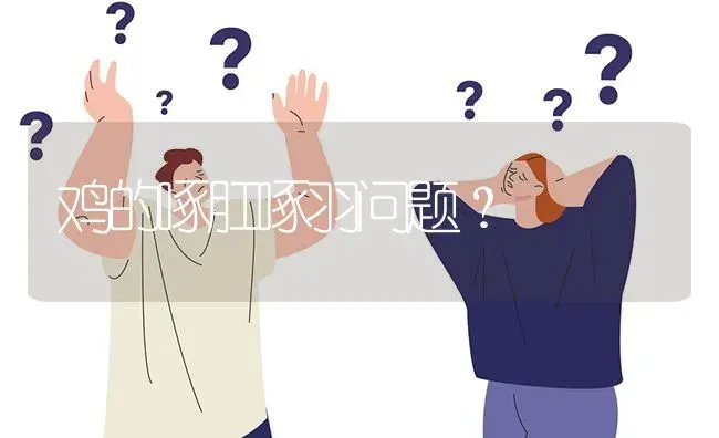 鸡的啄肛啄羽问题? | 养殖问题解答