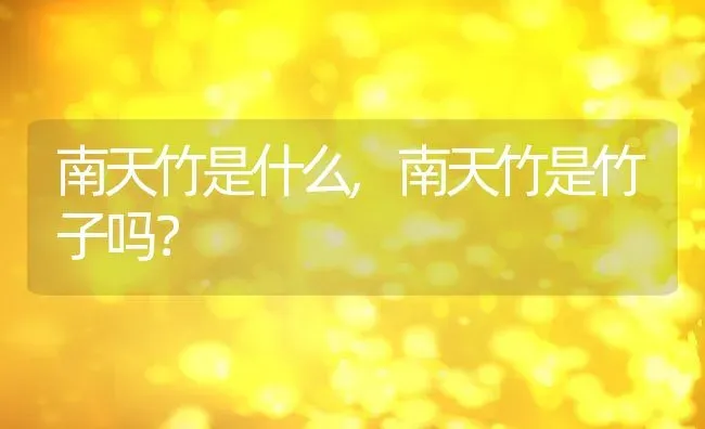 南天竹是什么,南天竹是竹子吗？ | 养殖常见问题