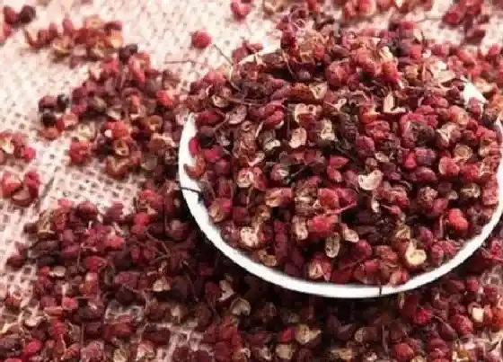 植物常识问题|花椒吃太多危害特别大 花椒吃多了对人体有害吗