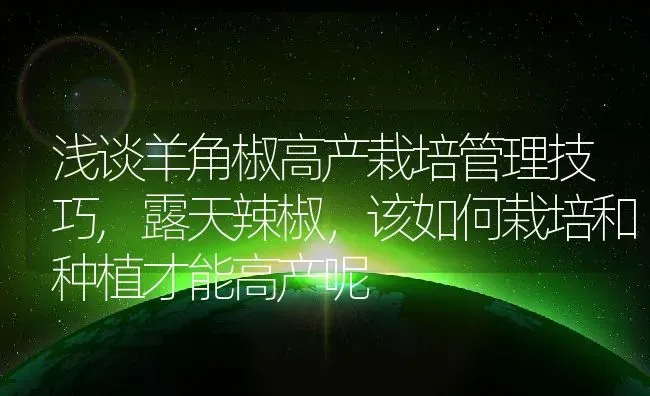 浅谈羊角椒高产栽培管理技巧,露天辣椒，该如何栽培和种植才能高产呢 | 养殖常见问题