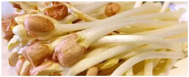 花生苗怎么种出来的怎么做才好吃 | 三农答疑