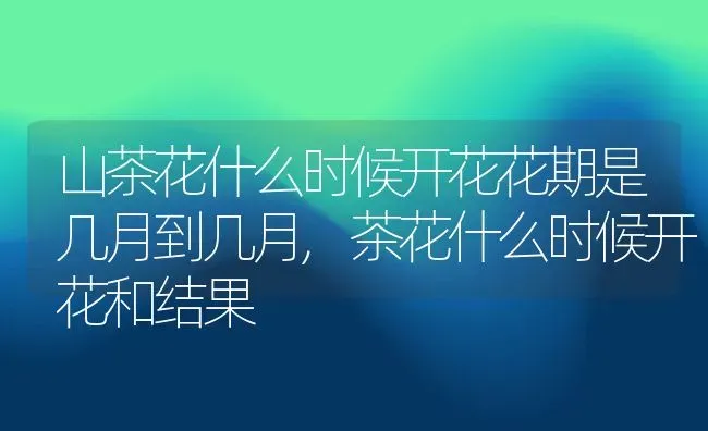 山茶花什么时候开花花期是几月到几月,茶花什么时候开花和结果 | 养殖常见问题