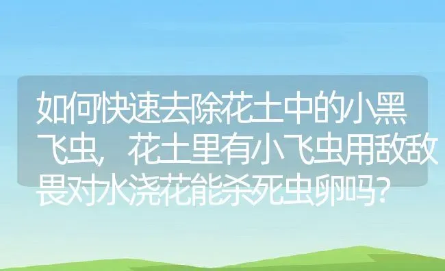 如何快速去除花土中的小黑飞虫,花土里有小飞虫用敌敌畏对水浇花能杀死虫卵吗？ | 养殖常见问题